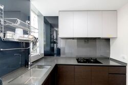 Amber Park (D15), Condominium #561250131